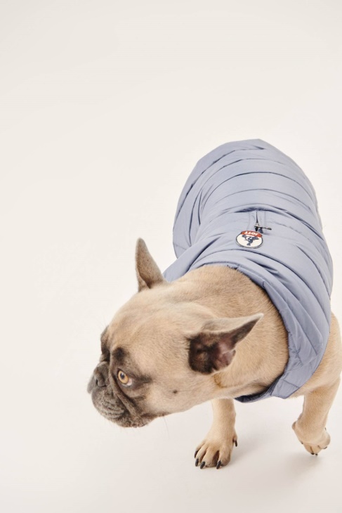 Blaue Delave Hunde Daunenjacke Woop Jott